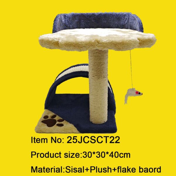 25JCSCT22